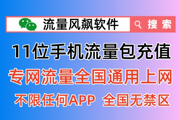 2024年专网流量怎么充值使用流程，流量风飙软件全国最低价发布