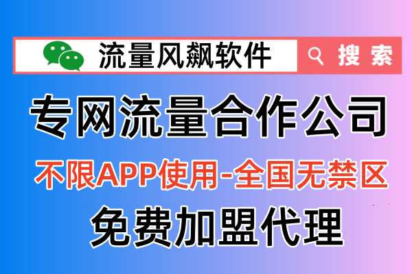 专网流量合作公司免费代理加盟，首选流量风飙软件平台